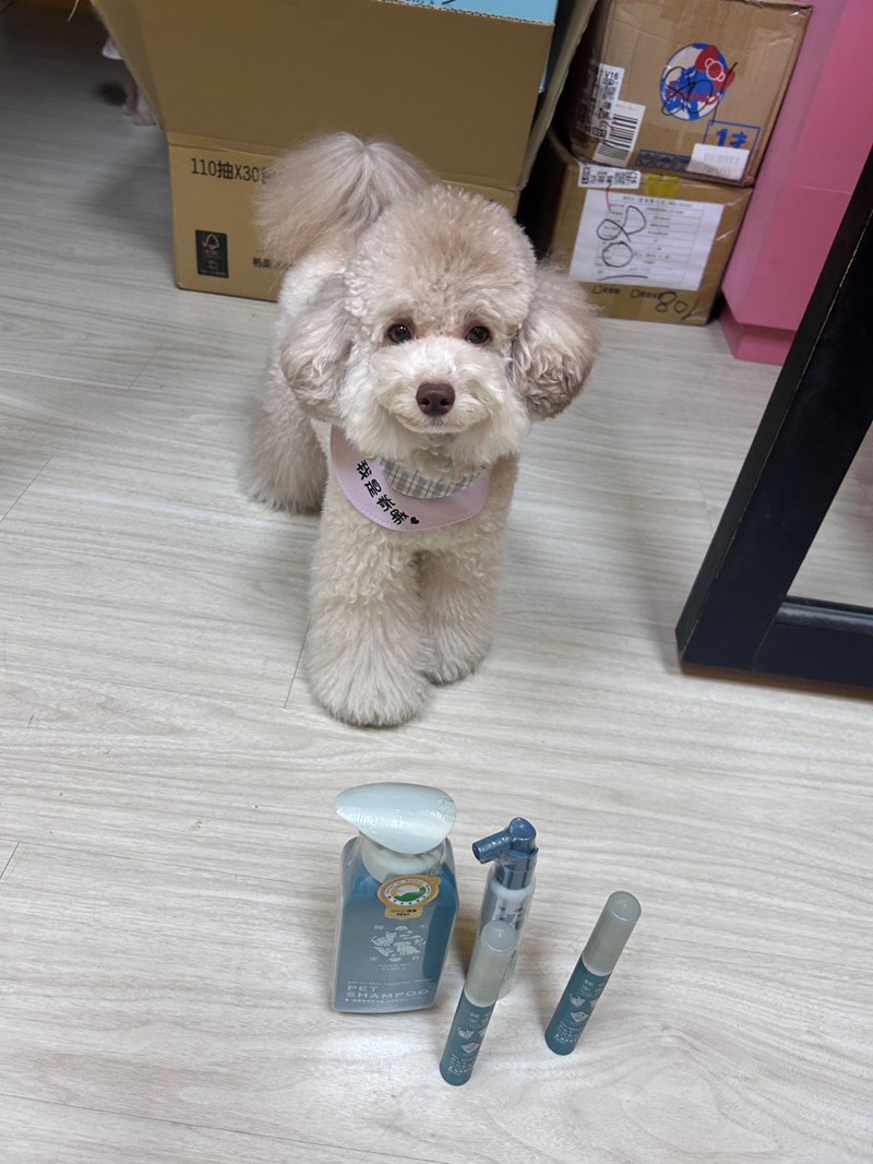 女人知己試用大隊,口碑行銷,部落客行銷,Goodmofamily歸毛家族 寵物肌膚救星組,歸毛家族 寵物肌膚救星,舒敏保濕洗毛乳,護膚噴液,精萃營養霜,博士30年生技專業,給足皮膚營養保護力,無抗生素 無類固醇,神經醯胺,19種綜合胺基酸,榮獲SNQ國家認證,上萬毛爸媽見證,3週幫助皮膚健康,NO.1寵物肌膚口碑霸主,寵物第一護膚領導品牌